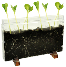 See-Through Worm Farm/Planter