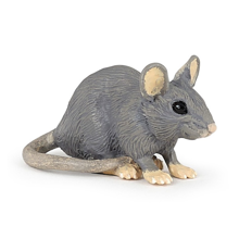 Mouse L: 4.8 cm