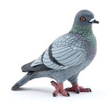 Pigeon - L: 6 cm
