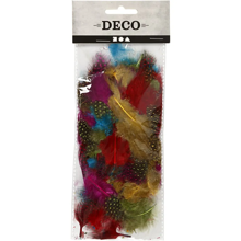 Guinea Fowl Feathers - Assorted Colours, 3 g 