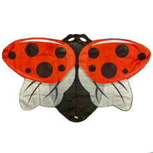 Red Ladybird Wings, size 4-7 years
