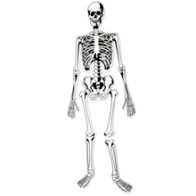 Skeleton Foam Floor Puzzle