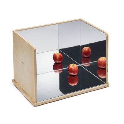 4-Way Mirror