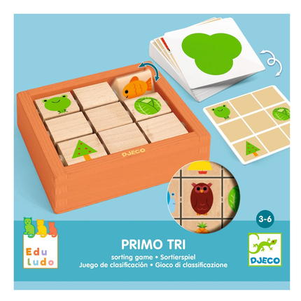Logic Game - Sort & Match
