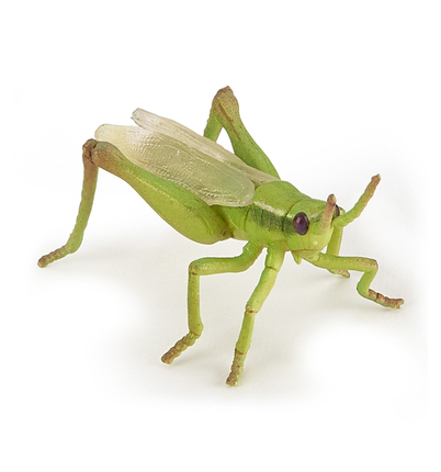 Grasshoppers, L: 6.5 cm