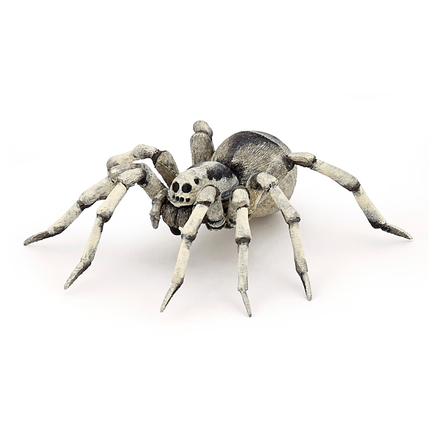 Tarantula, Ø11.5 cm