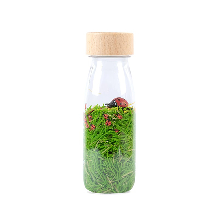 Discovery Bottle - Ladybugs