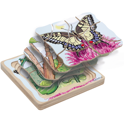 Layered Puzzle - Butterfly Life Cycle