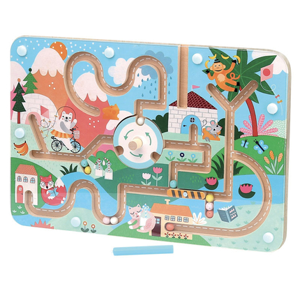 Magnetic Maze - Michelle Carlslund