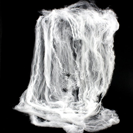 Spider Web with Spider, 20 g