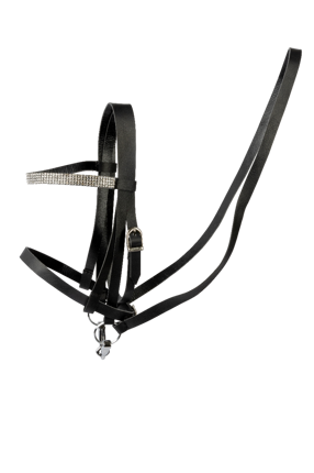 Cheval Roi Accs - Bridle, Black/Silver Rhinestones