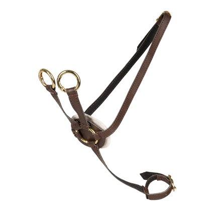 Cheval Roi Accs. - Martingale, Brown/Gold
