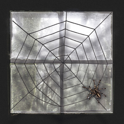 Black Spider Web Ø150 cm