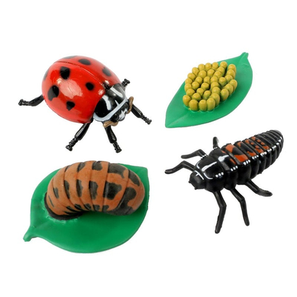 Life Cycle Figurines: Ladybird