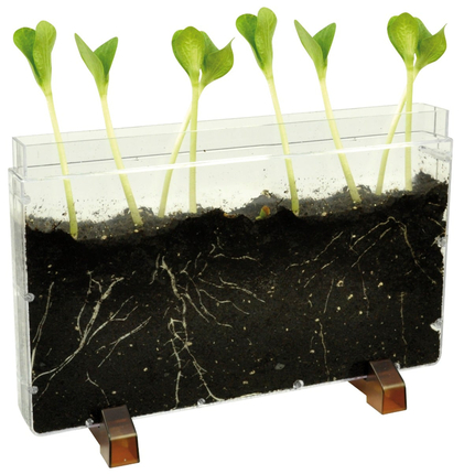 See-Through Worm Farm/Planter