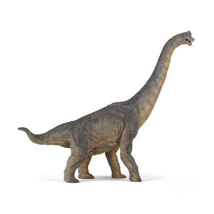 Brachiosaurus - L: 36 cm