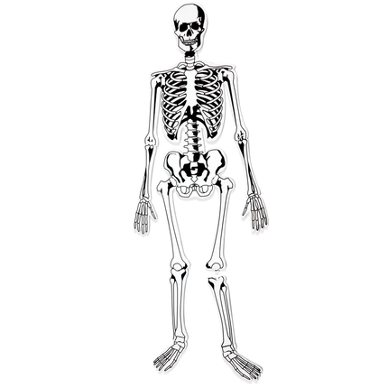 Skeleton Foam Floor Puzzle