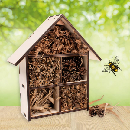 Build and Paint Your Own Wooden House