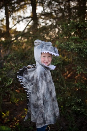 Spinosaurus Costume, 4-6 yrs