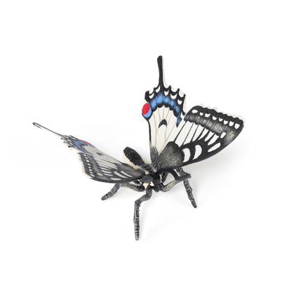 Swallowtail Butterfly, W: 5.5 cm