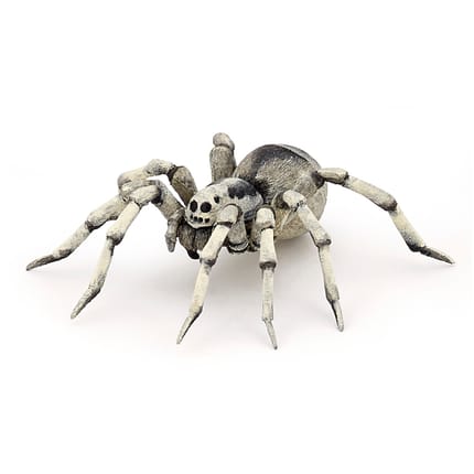 Tarantula, Ø11.5 cm