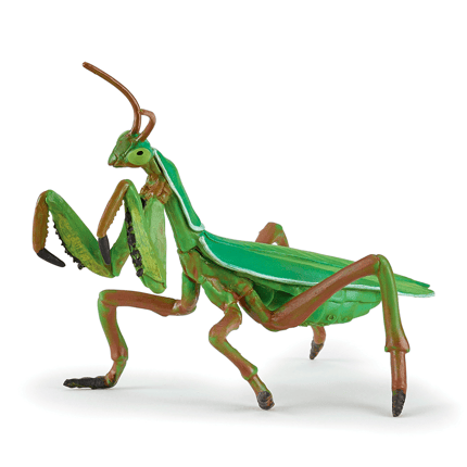 Praying Mantis, L: 10 cm