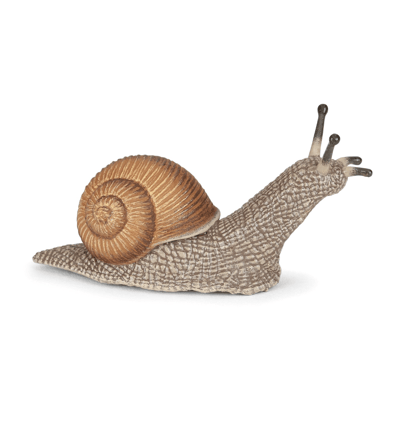 Roman Snail, L: 6 cm