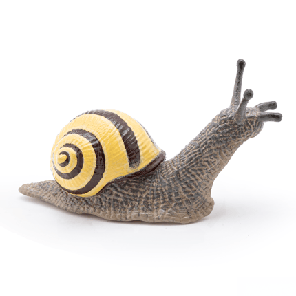 Snail, L: 6 cm