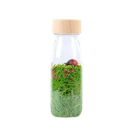 Discovery Bottle - Ladybugs