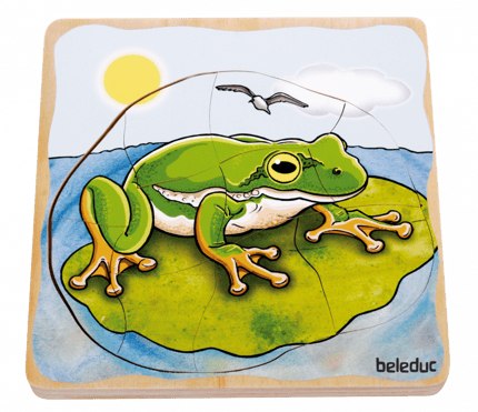 Layered Puzzle - Frog Life Cycle