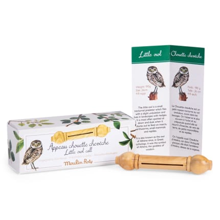 Little Owl Call