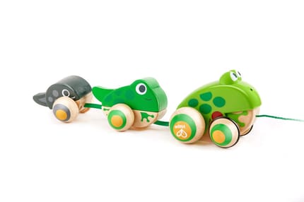 Pull-Along Toy - Frog Family