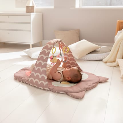 Owl Baby Gym