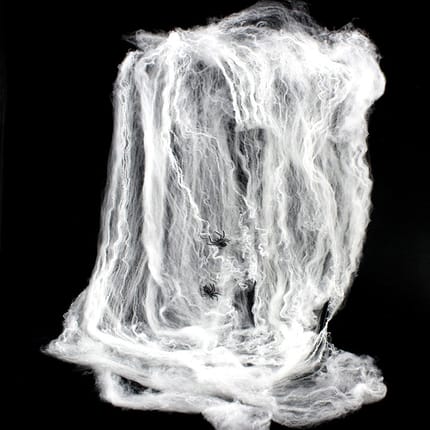 Spider Web with Spider, 20 g