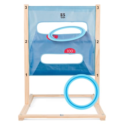 2-in-1 Ladder & Disc Toss Game