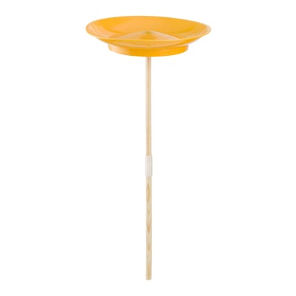 Spinning Plate