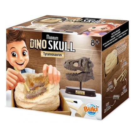 Fossil Dig Kit - T-Rex