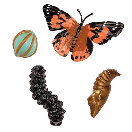 Life Cycle Figurines: Butterfly
