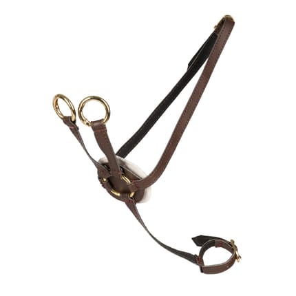 Cheval Roi Accs. - Martingale, Brown/Gold