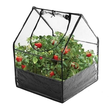 Mini Greenhouse 85x65x65 cm
