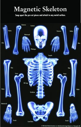 Magnetic Skeleton