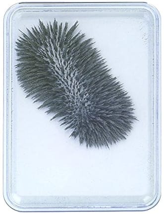 Box of Magnetic Iron Filings