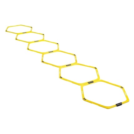 Multipurpose Agility/Obstacle Course
