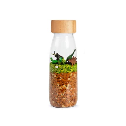 Discovery Bottle - Dinosaurs
