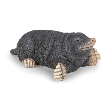 Mole - L: 5.5 cm