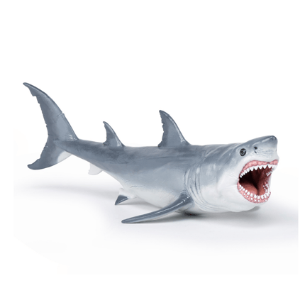 Megalodon - L: 22 cm
