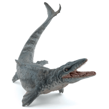 Mosasaurus - L: 25.5 cm
