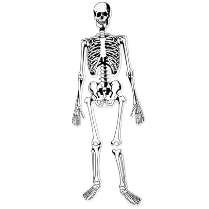 Skeleton Foam Floor Puzzle