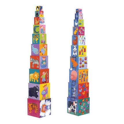 Stacking Blocks - The Ladder