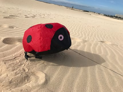 Crawling Ladybug Ground Kite 40x40 cm
